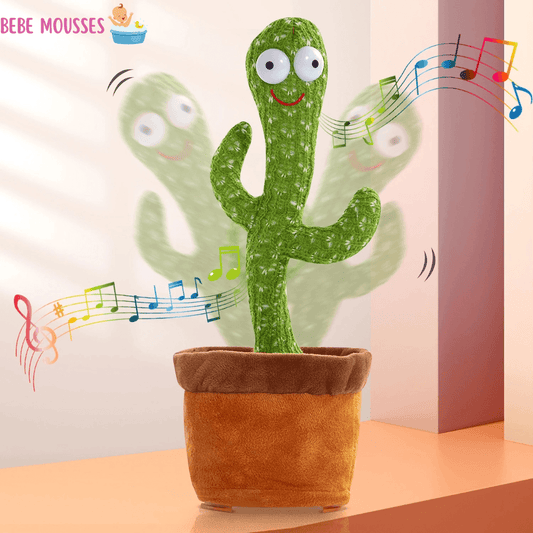 jeu-educatif-cactusdancer